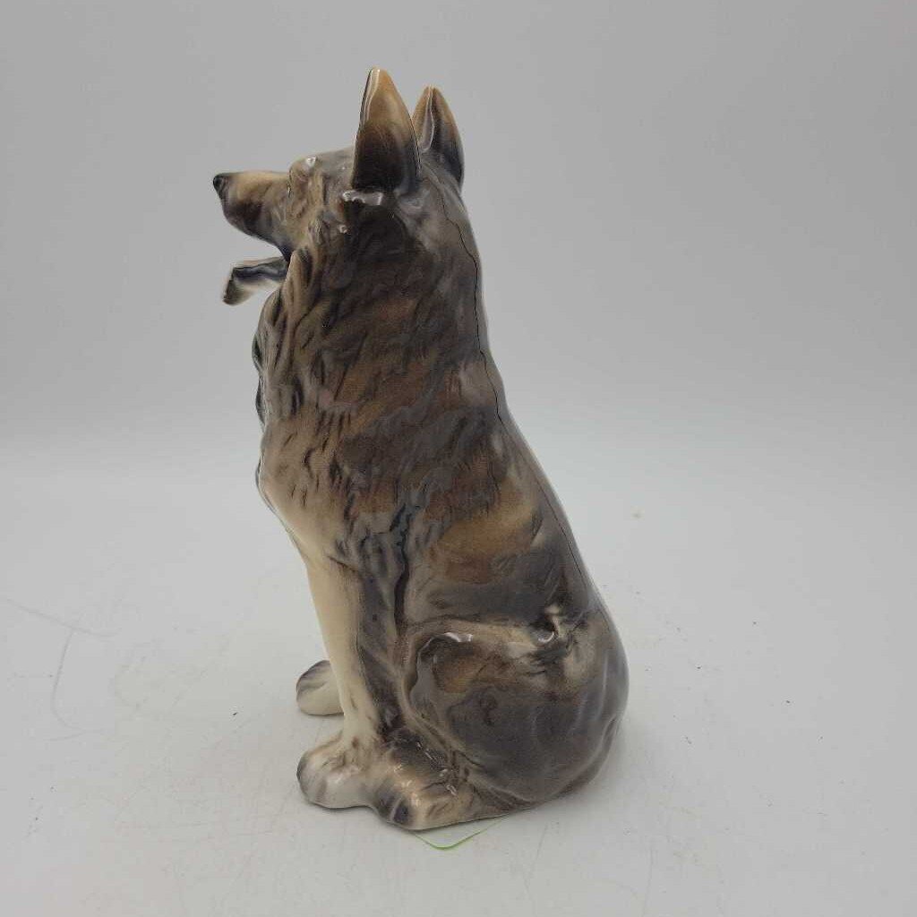 German Shepard Dog (RHA)