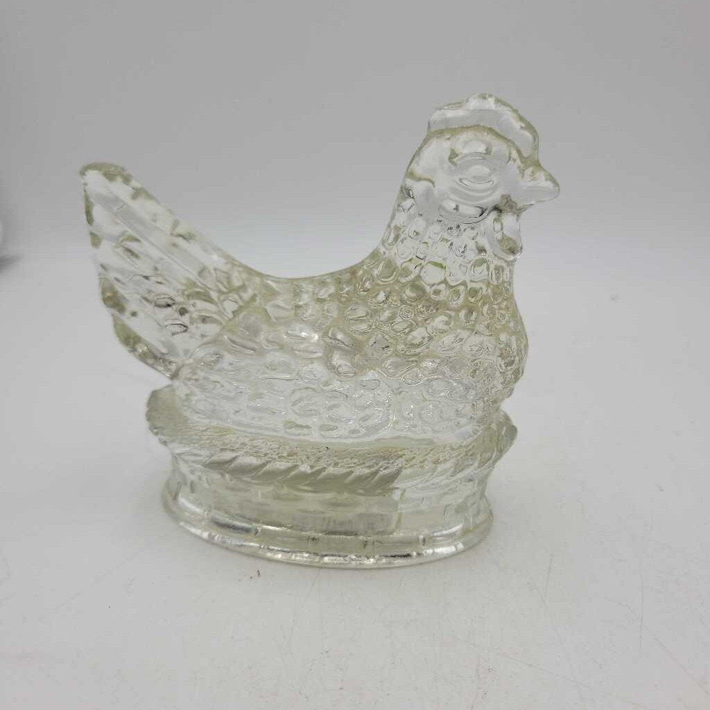 Hen on nest (US2)