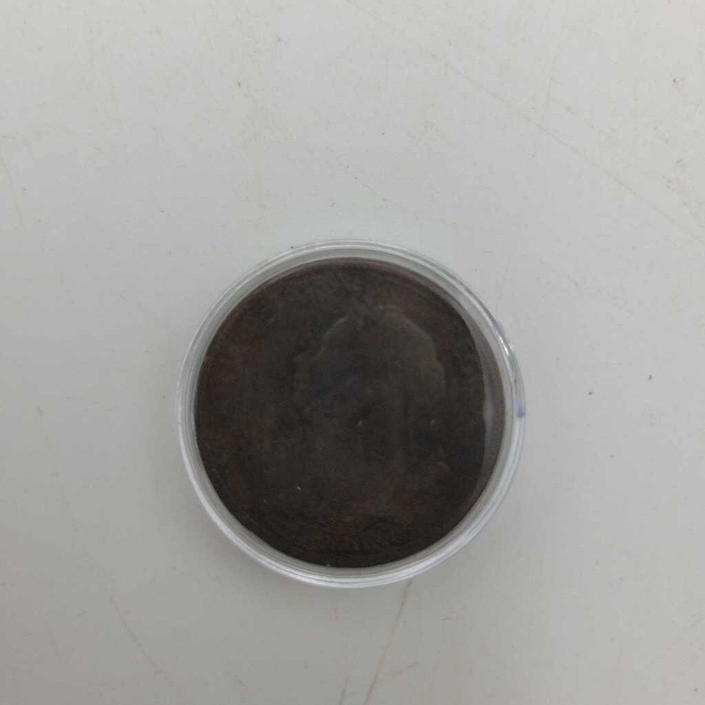 1900 Half Penny coin (JAS)