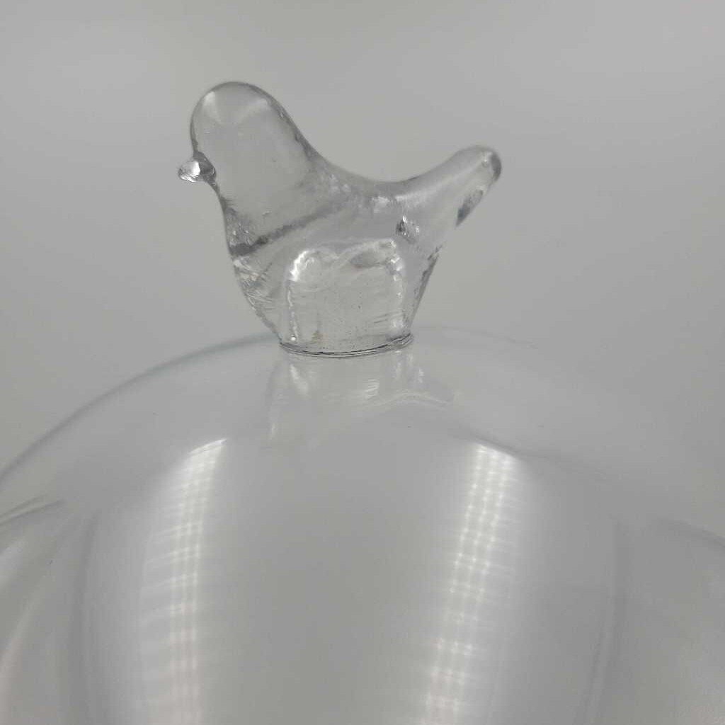 Glass Dome Cloche Bird handle Large (YVO) 509