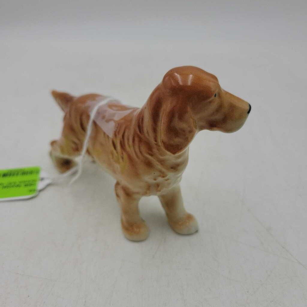 Spaniel Dog (DEB)