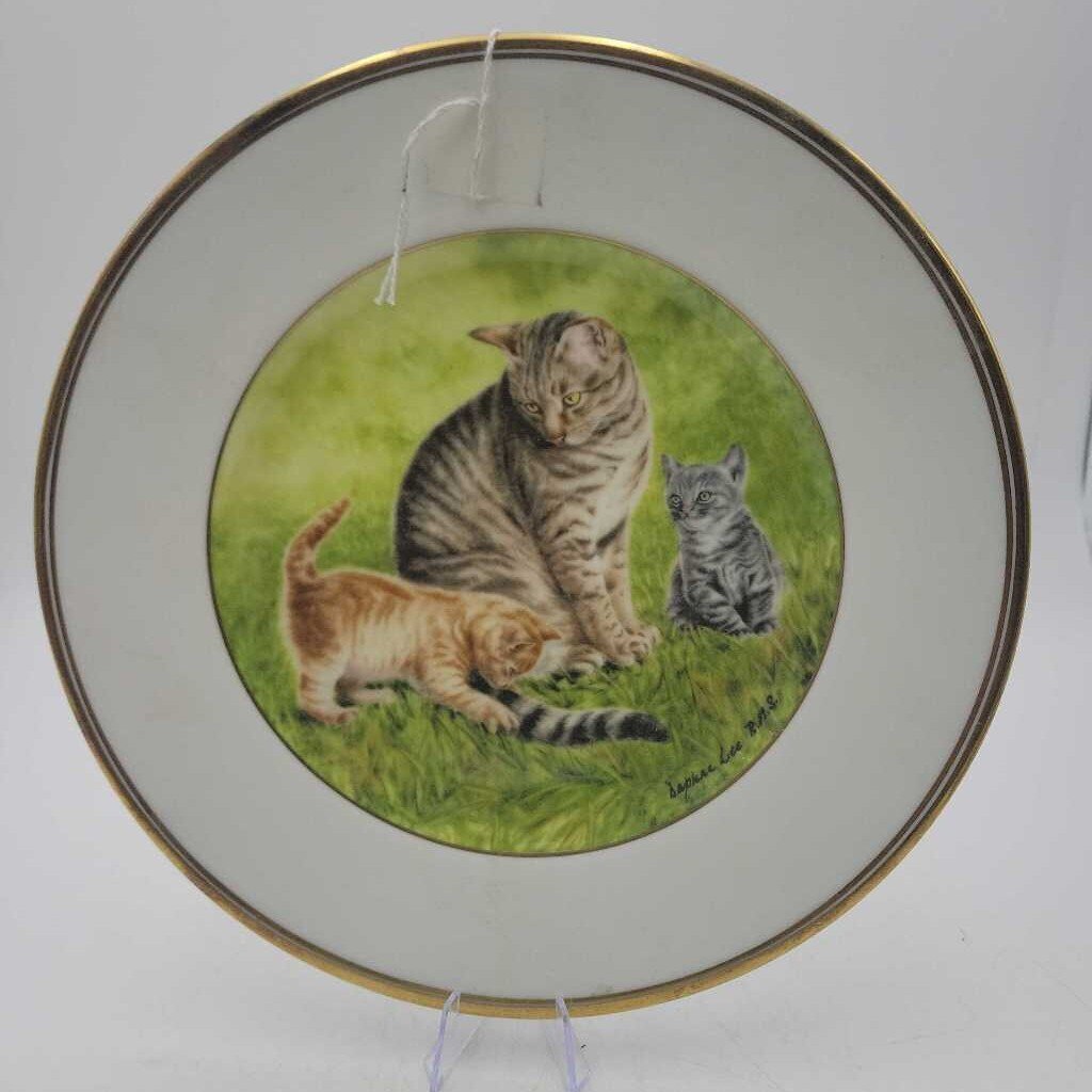 Vintage Wedgewood cat kitty Plate (DEB)
