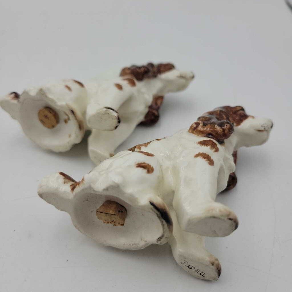 English Spaniel Salt & Pepper Sitting (JAS)
