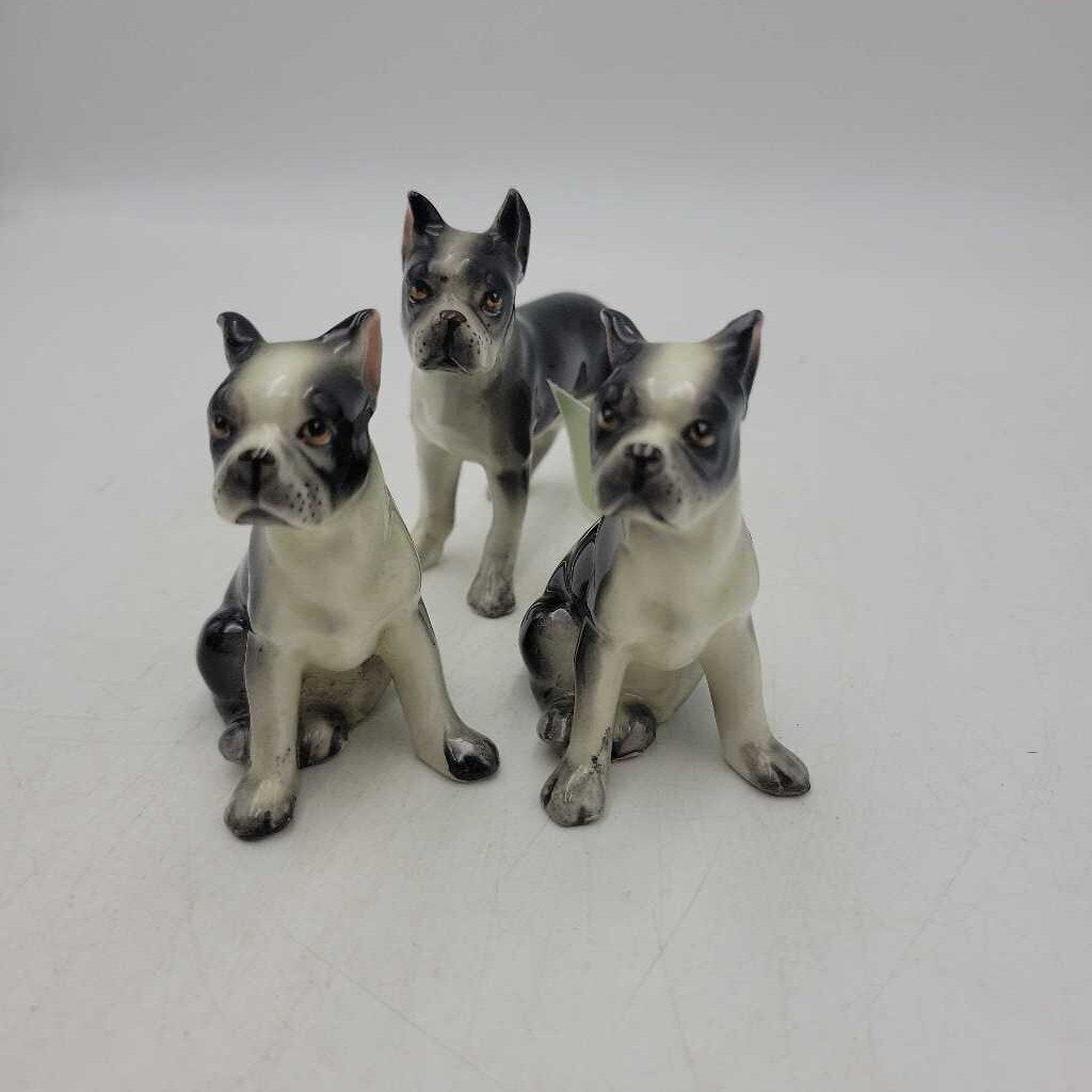 3 Bulldog Shakers (JAS)