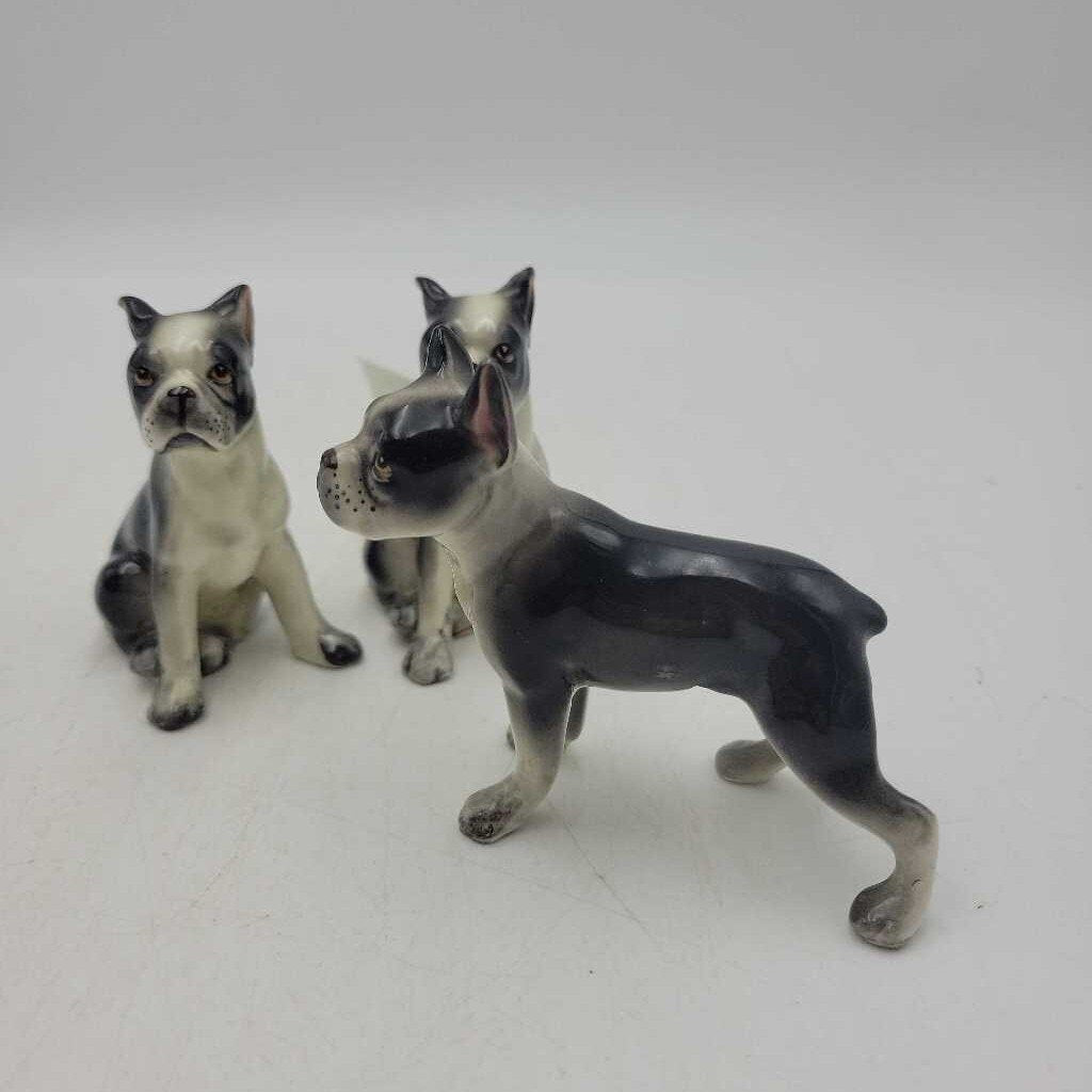 3 Bulldog Shakers (JAS)