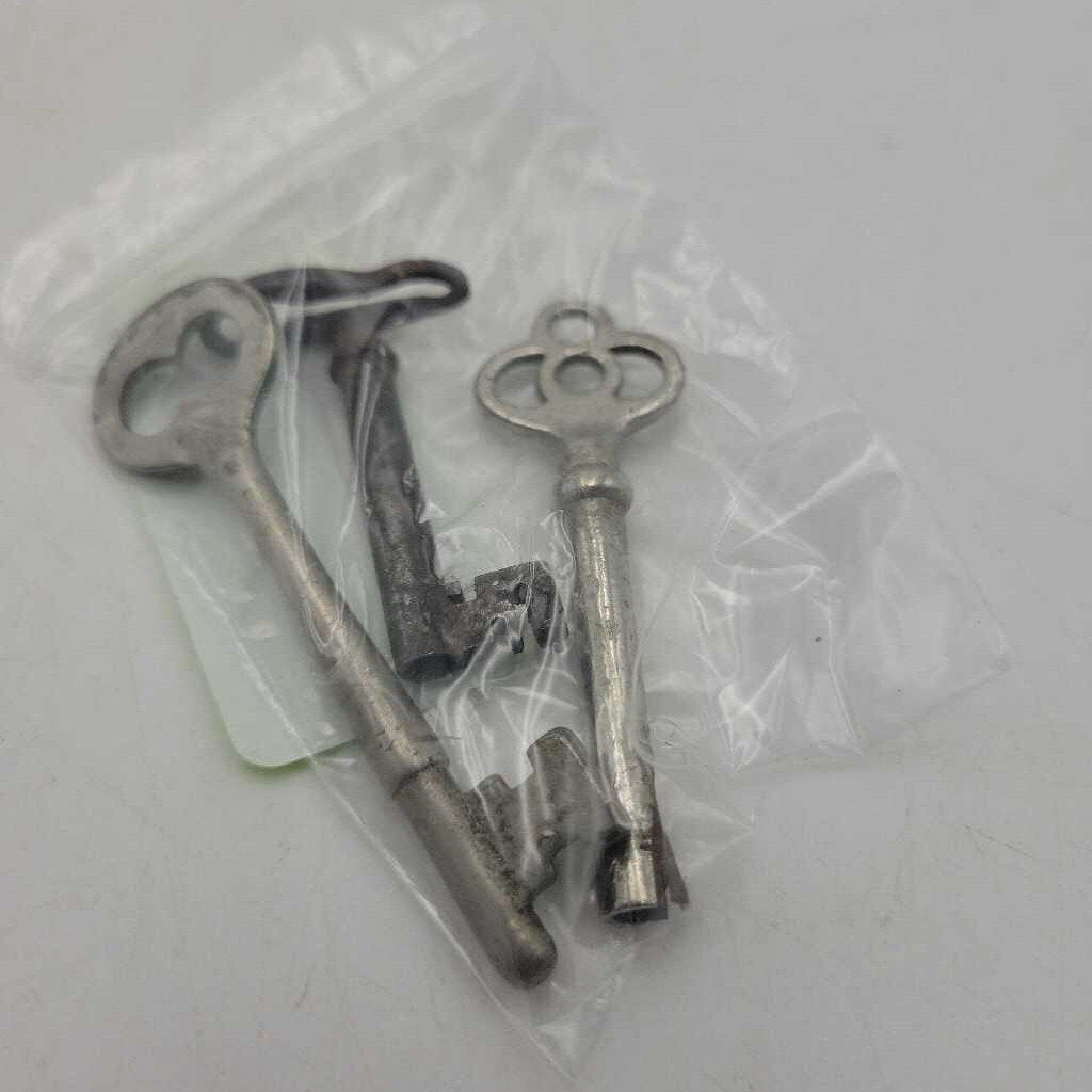 Skeleton Keys 3 piece hole (JAS)