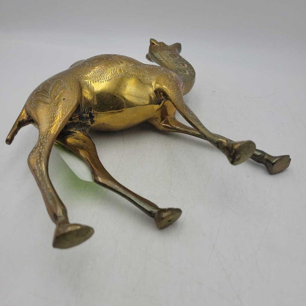Brass Camel (US2)