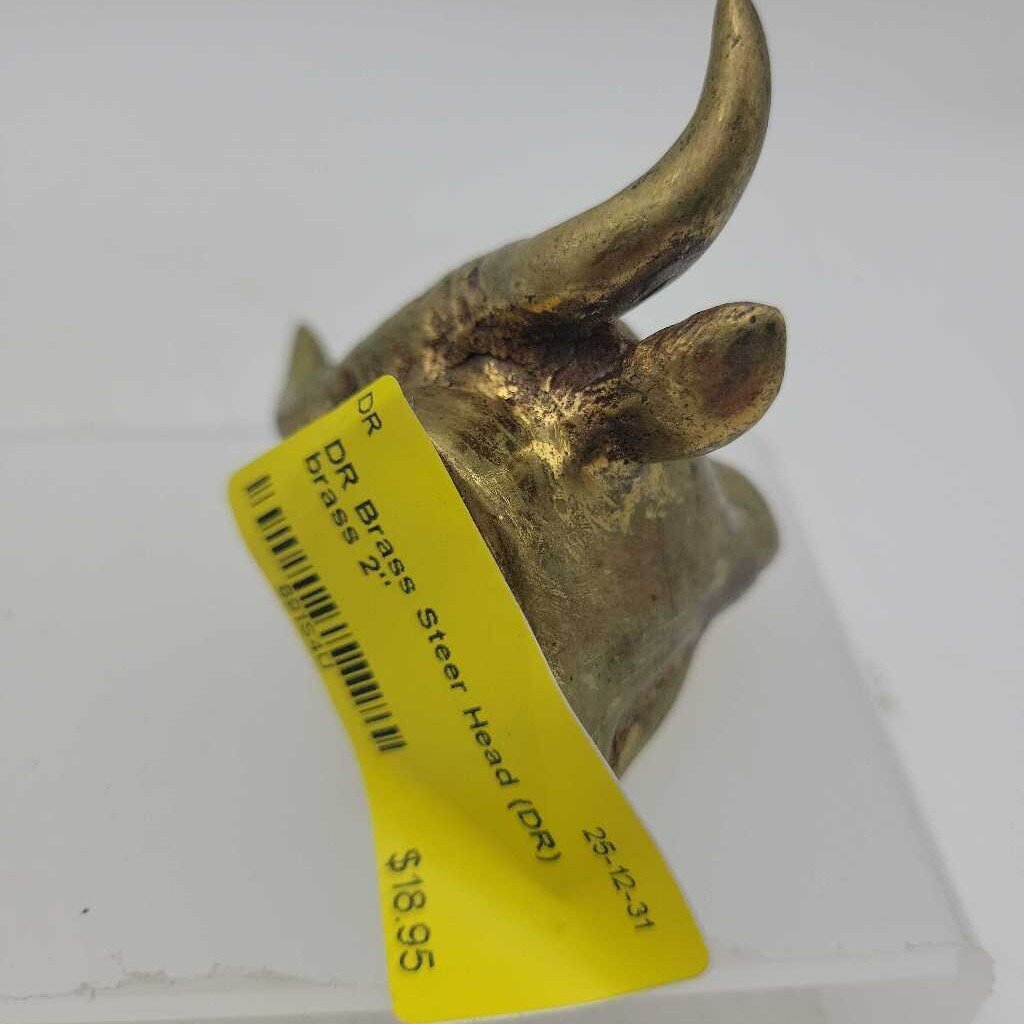 Brass Steer Head (DR)