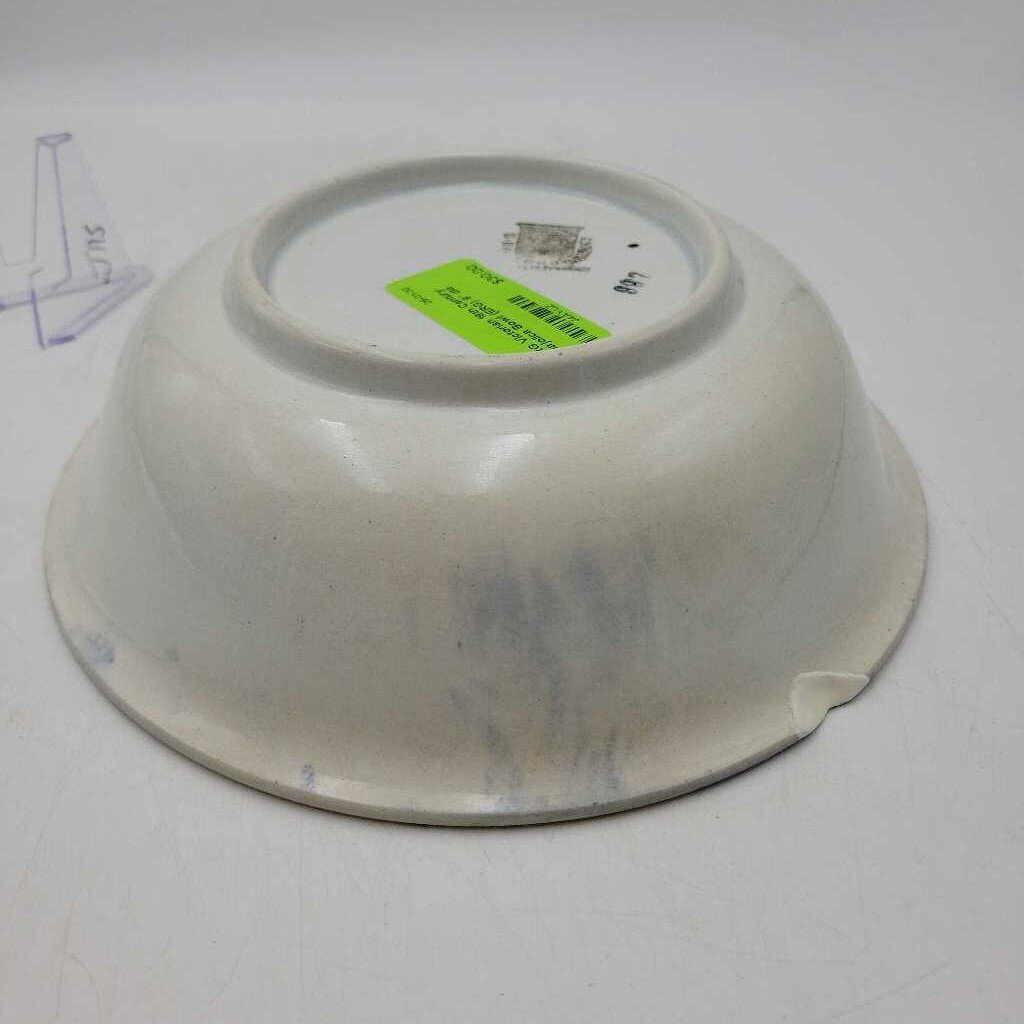 Victorian 19th Century Majolica Bowl (ERG)