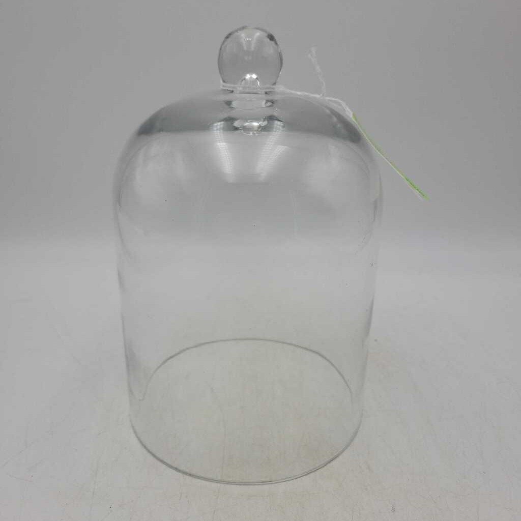 Glass Cloche dome (BS)
