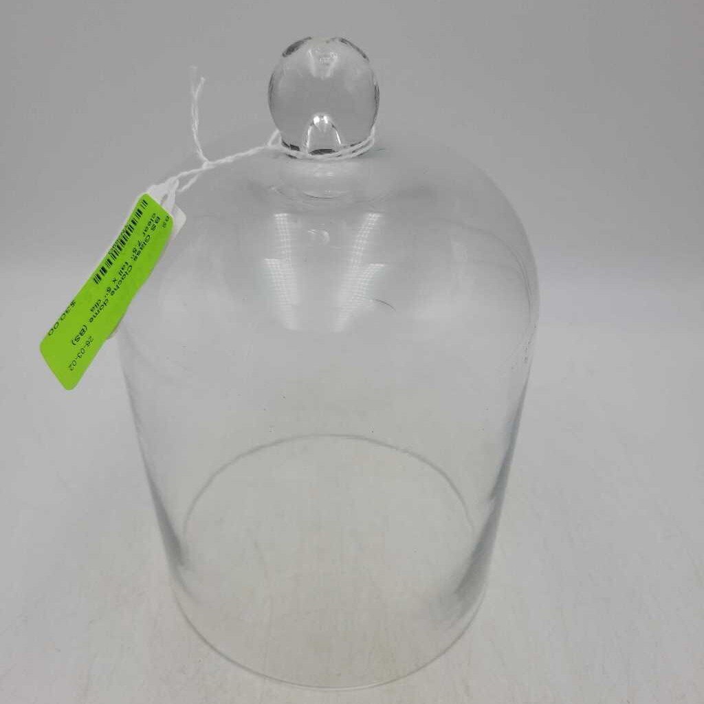 Glass Cloche dome (BS)