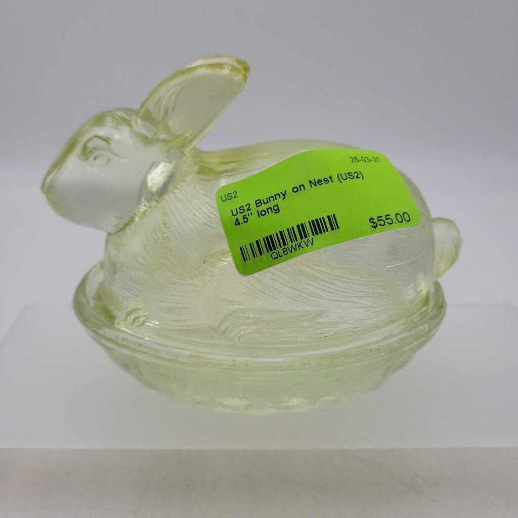 Bunny on Nest (US2)