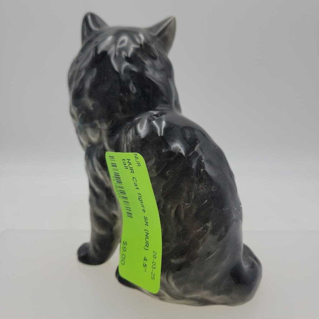 Cat figure SR (NUR)