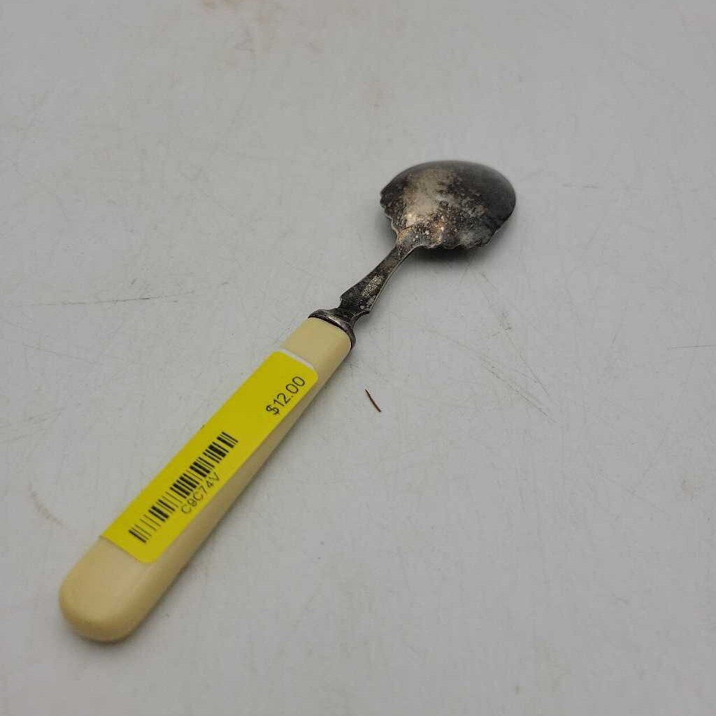 Ivory/silver spoon JR (NUR)
