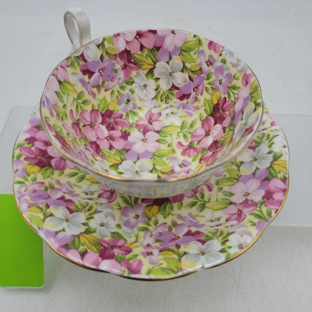 Royal Standard Chintz Cup and saucer (DEB)