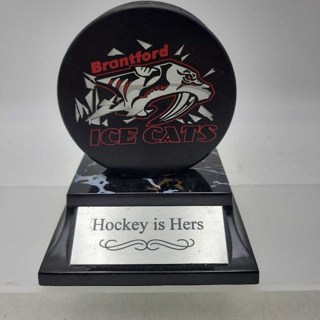 Brantford IceCats Hockey Puck Mounted (JAS)