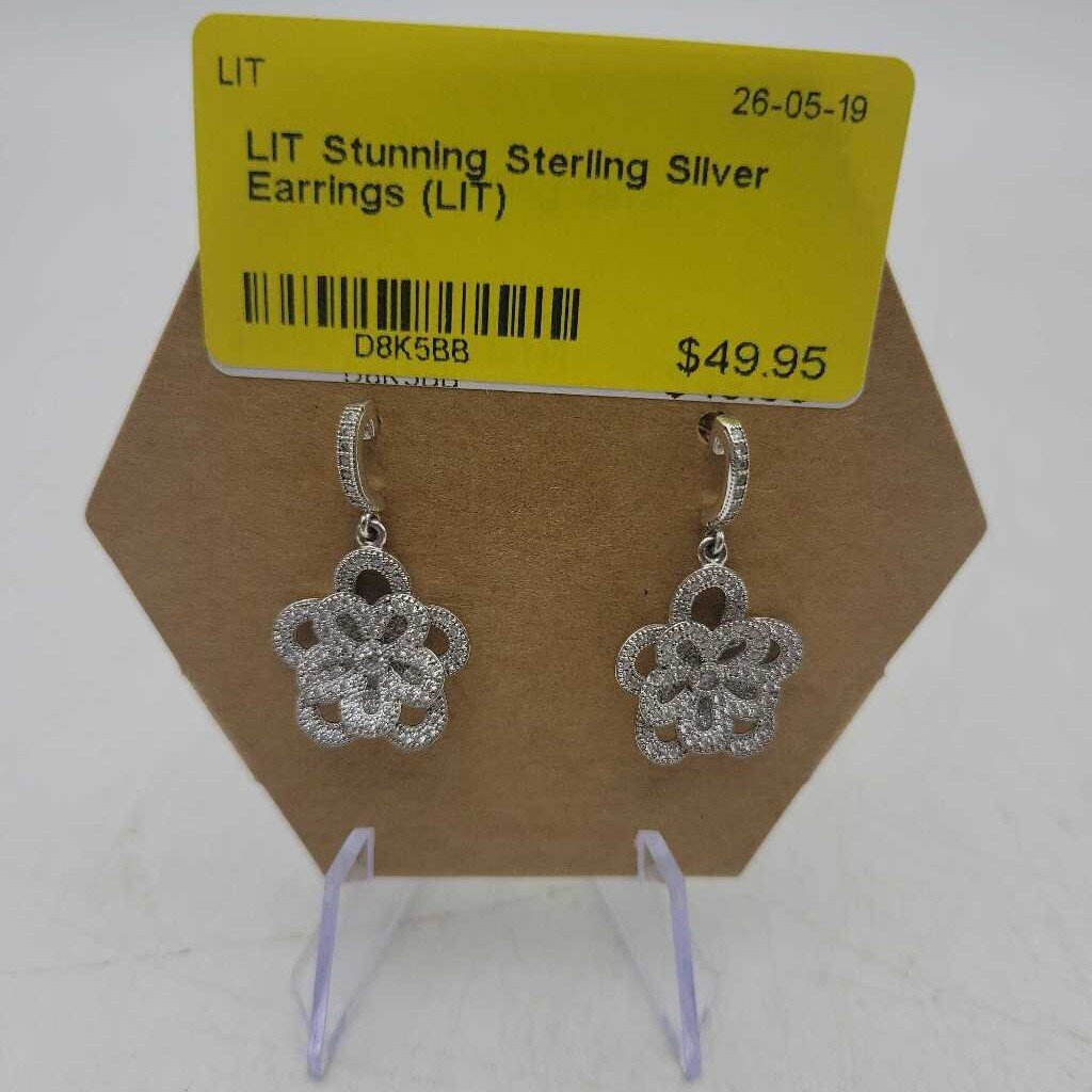 Stunning Sterling Silver Earrings (LIT)