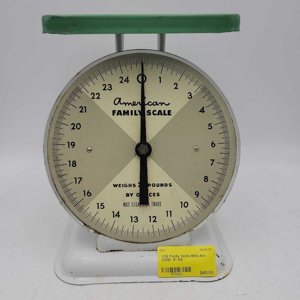 Family Scale.1950s Era (US2)