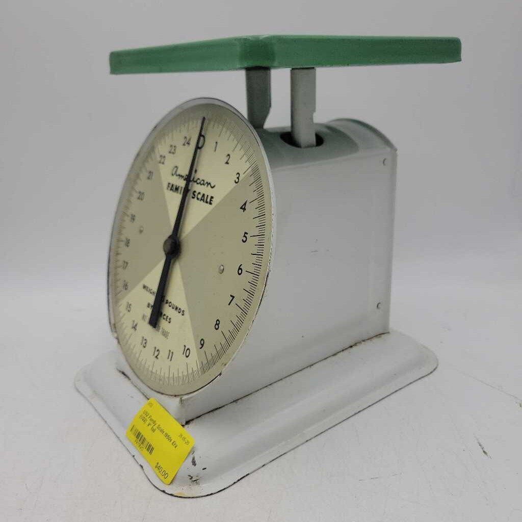 Family Scale.1950s Era (US2)