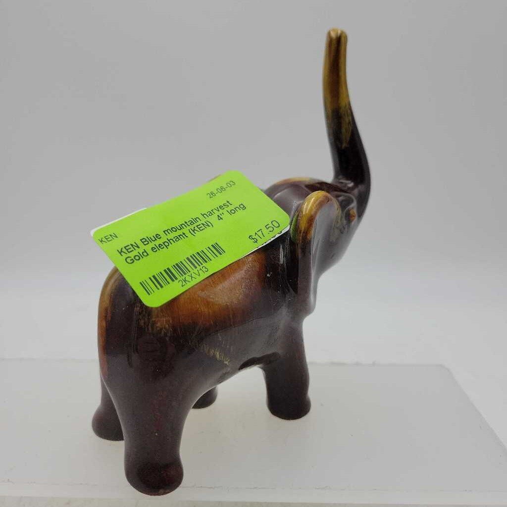 Blue mountain harvest Gold elephant (KEN)