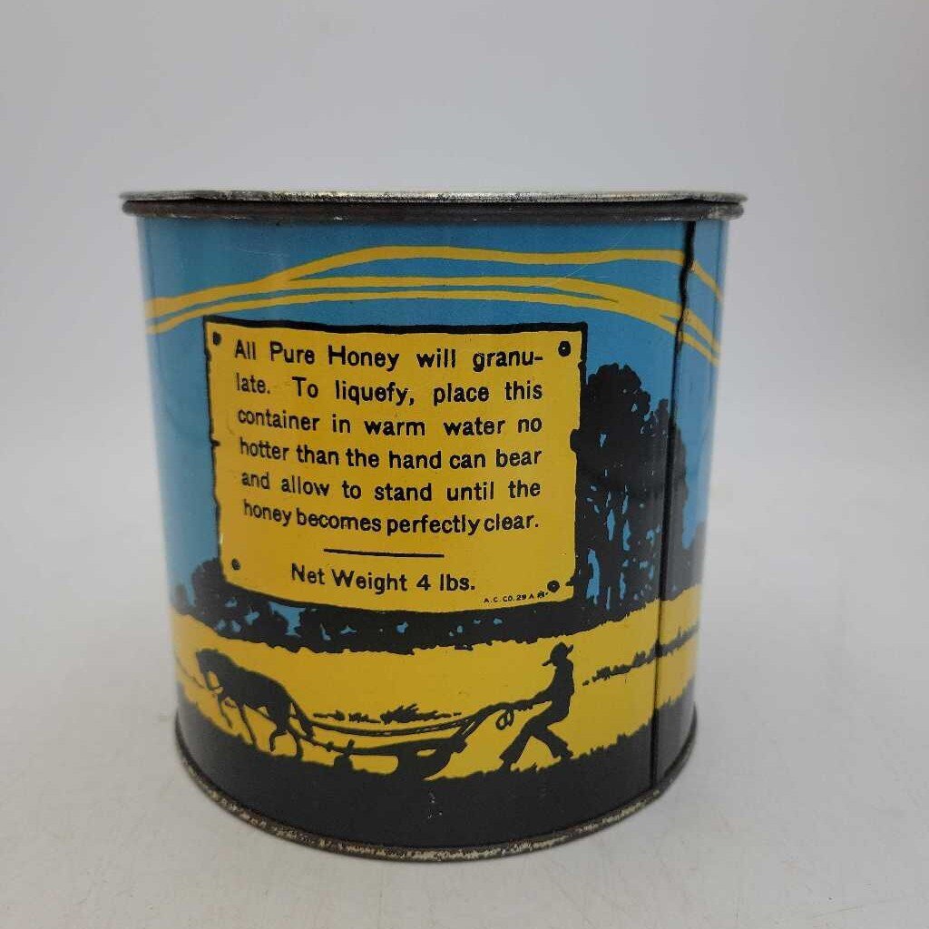 Bruce Peninsula Honey Tin Pure Canadian Linden Apiaries (DR)