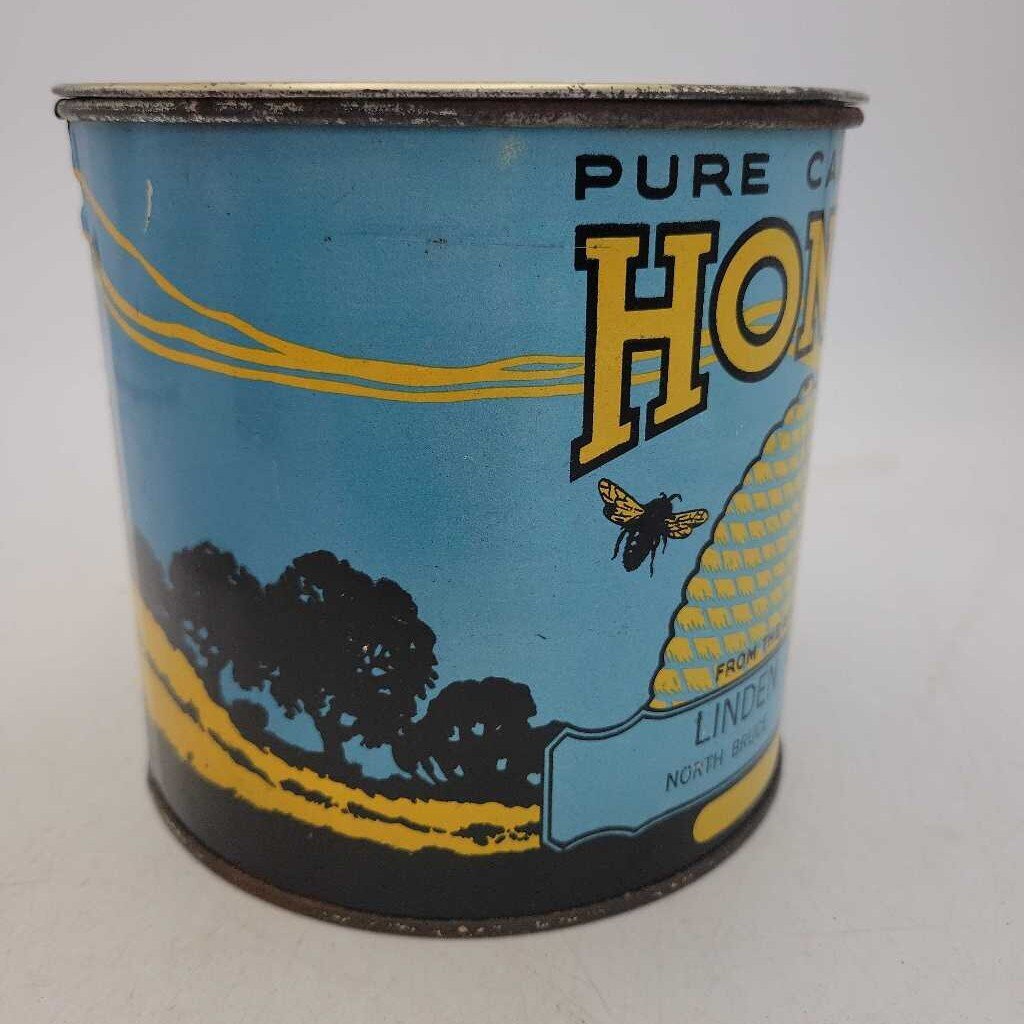 Bruce Peninsula Honey Tin Pure Canadian Linden Apiaries (DR)