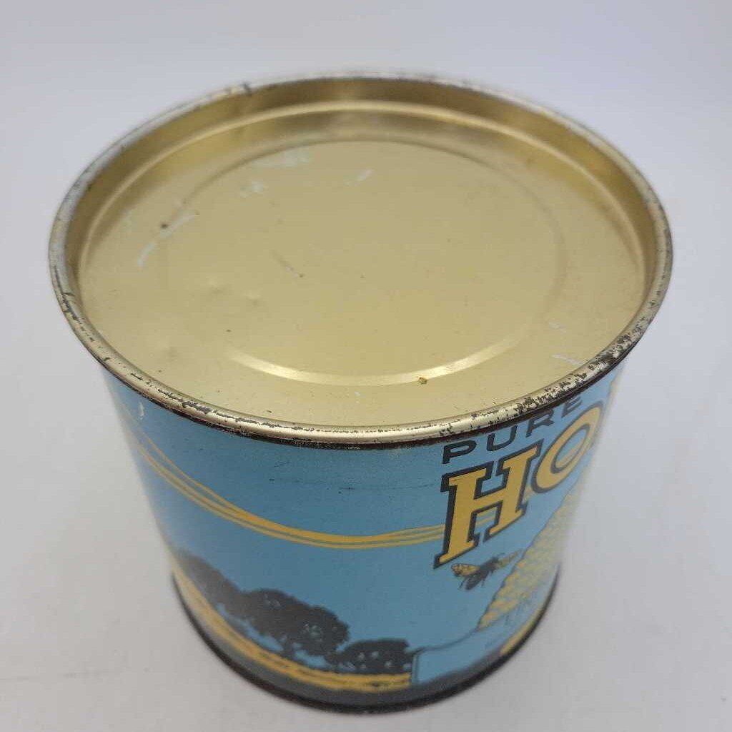 Bruce Peninsula Honey Tin Pure Canadian Linden Apiaries (DR)