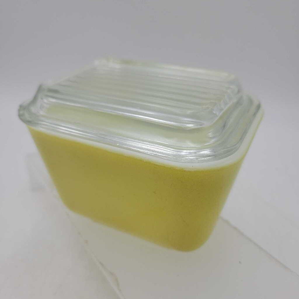 Covered Fridge Pyrex Dish lid has chip (DR)