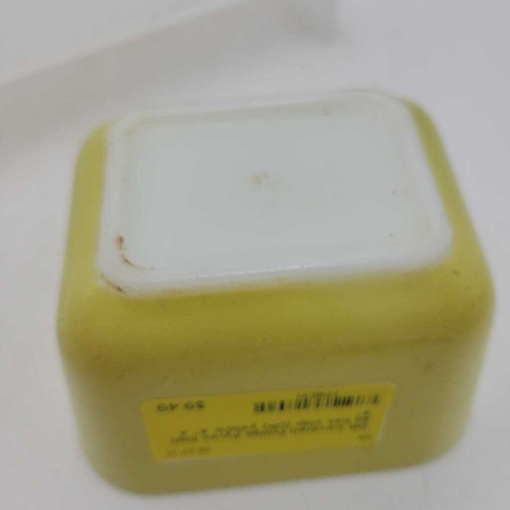 Covered Fridge Pyrex Dish lid has chip (DR)