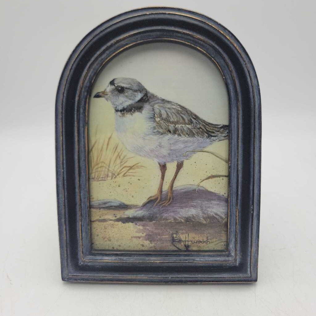 7.25" x 5.25" Arched Black-Painted Wood-Framed Vintage Bird Print (SAL)