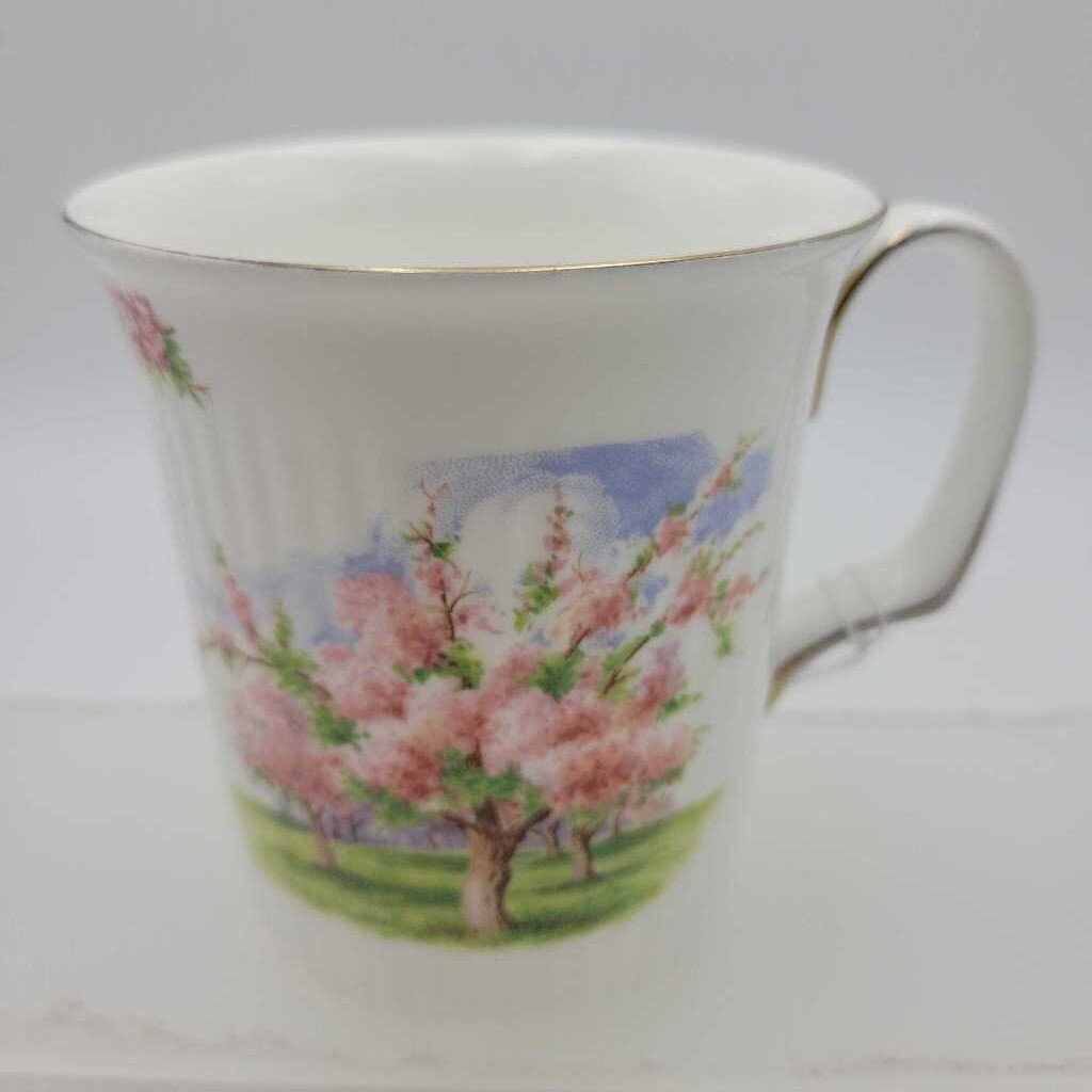 Royal Albert Blossom Time Mug (DEB)
