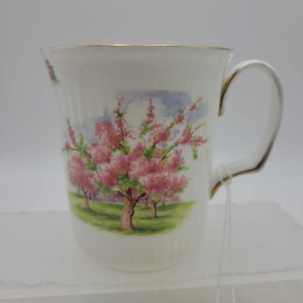 Royal Albert Blossom Time Mug (DEB)