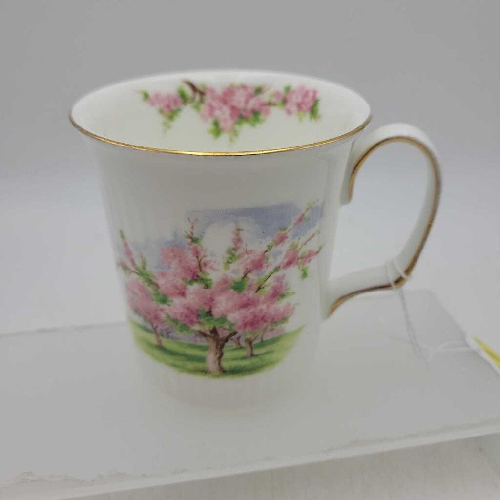 Royal Albert Blossom Time Mug (DEB)