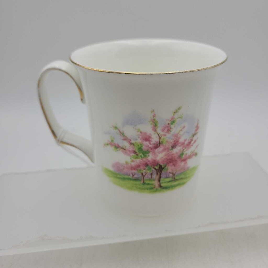 Royal Albert Blossom Time Mug (DEB)