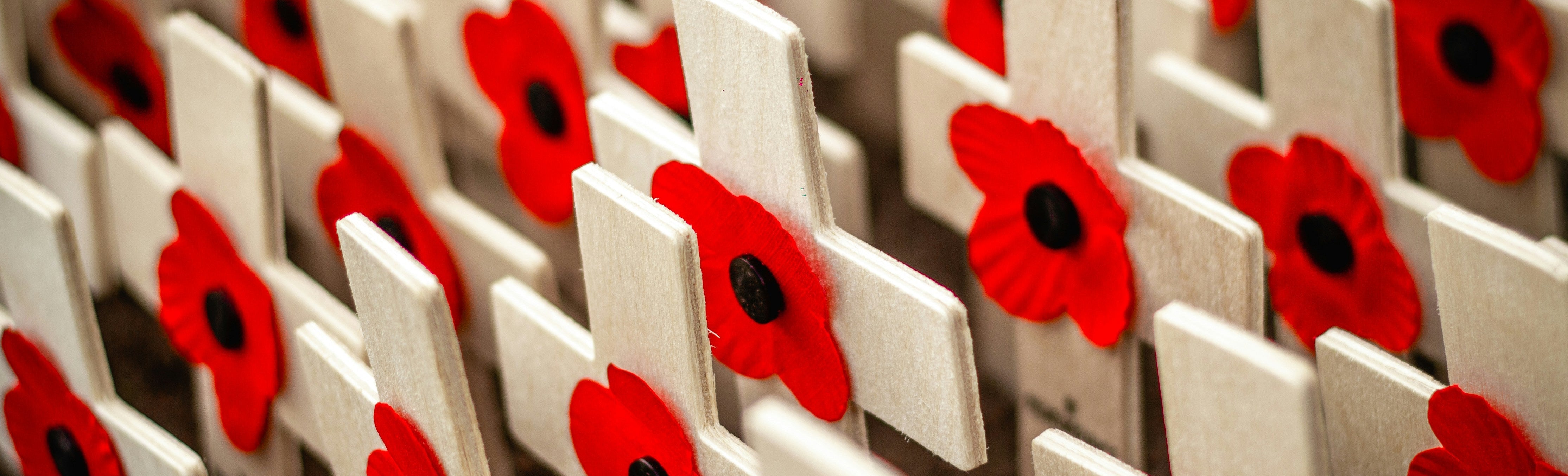 Remembrance Day