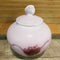 Studio Pottery Pot with Shell Finial (RHA)