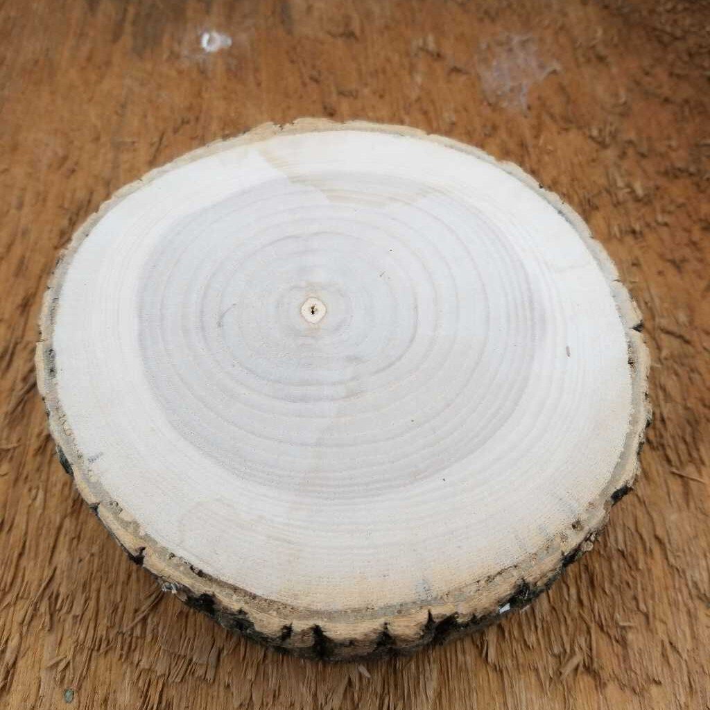 Wood Cookie - Kiln Dried