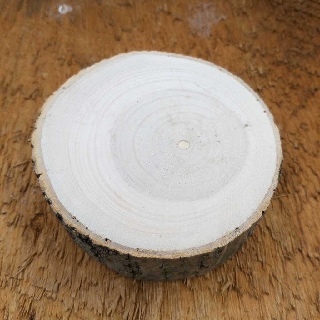 Wood Cookie - Kiln Dried