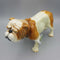 Goebel Bulldog Figure (M2)