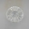 Webb England Crystal Glass (JAS)