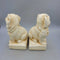 Plaster dog bookends - Pair (LIND) P818