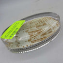 Guelph Wydham st Glass Paperweight (Jef)