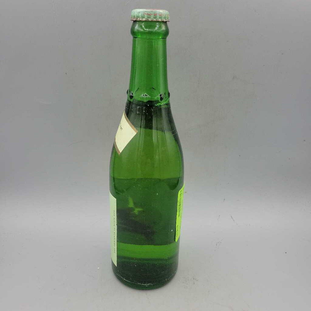 Canada Dry "Hi Spot " Bottle (Jef)