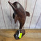 Iron Wood 1950's Dolphin carving (RHA)